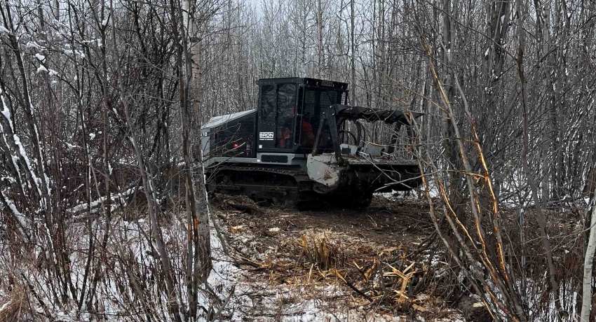 Bron 310 Mulcher